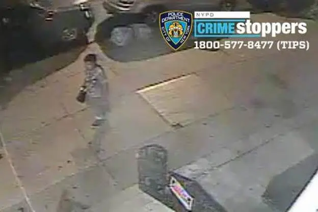 The man suspected of setting fire to two pride flags outside a Harlem bar.